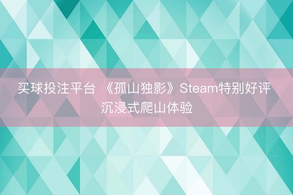 买球投注平台 《孤山独影》Steam特别好评 沉浸式爬山体验