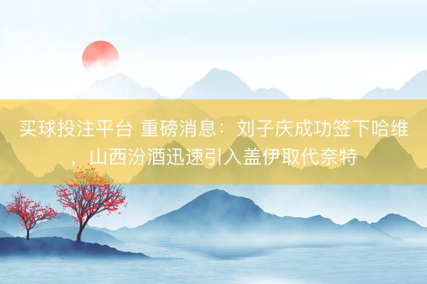 买球投注平台 重磅消息：刘子庆成功签下哈维，山西汾酒迅速引入盖伊取代奈特