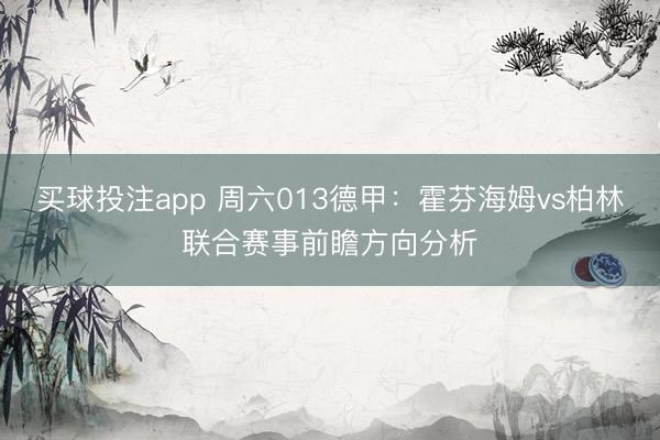 买球投注app 周六013德甲：霍芬海姆vs柏林联合赛事前瞻方向分析