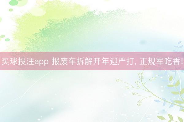 买球投注app 报废车拆解开年迎严打， 正规军吃香!