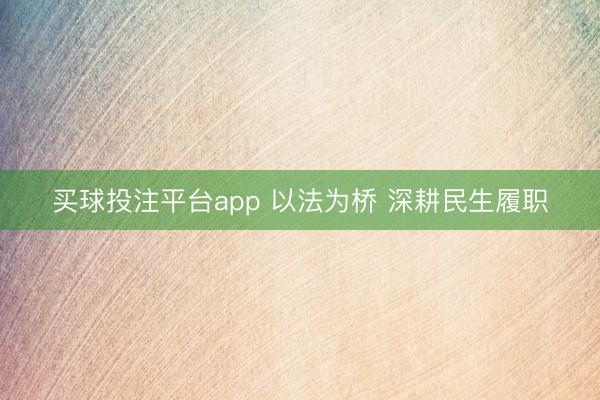 买球投注平台app 以法为桥 深耕民生履职