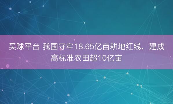 买球平台 我国守牢18.65亿亩耕地红线，建成高标准农田超10亿亩