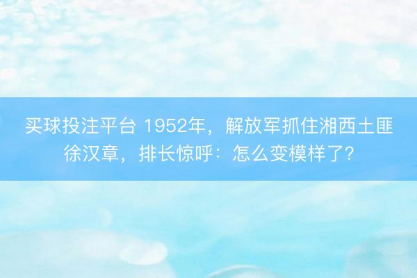 买球投注平台 1952年,解放军抓住湘西土匪徐汉章,排长惊呼:怎么变模样了?