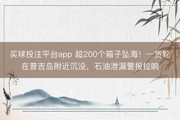 买球投注平台app 超200个箱子坠海！一货轮在普吉岛附近沉没，石油泄漏警报拉响
