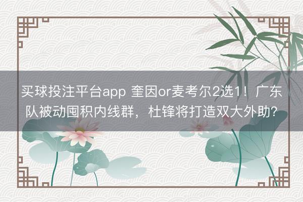 买球投注平台app 奎因or麦考尔2选1！广东队被动囤积内线群，杜锋将打造双大外助？
