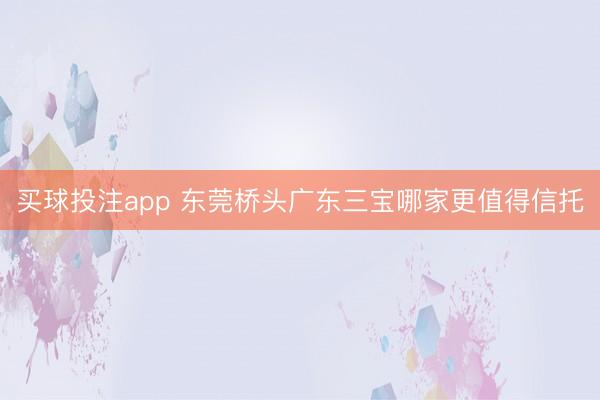 买球投注app 东莞桥头广东三宝哪家更值得信托