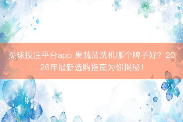 买球投注平台app 果蔬清洗机哪个牌子好？2026年最新选购指南为你揭秘！