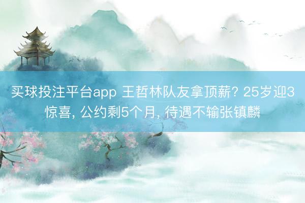 买球投注平台app 王哲林队友拿顶薪? 25岁迎3惊喜， 公约剩5个月， 待遇不输张镇麟