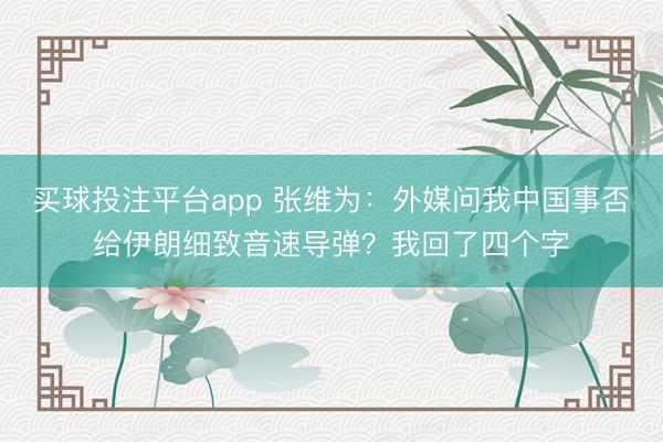 买球投注平台app 张维为：外媒问我中国事否给伊朗细致音速导弹？我回了四个字