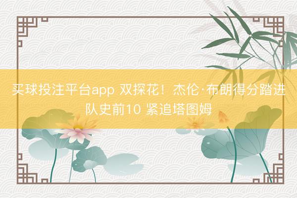 买球投注平台app 双探花！杰伦·布朗得分踏进队史前10 紧追塔图姆