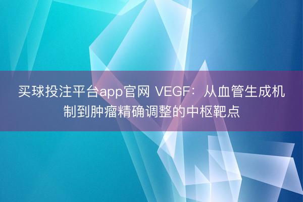 买球投注平台app官网 VEGF：从血管生成机制到肿瘤精确调整的中枢靶点