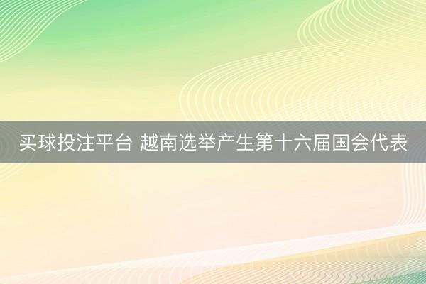 买球投注平台 越南选举产生第十六届国会代表