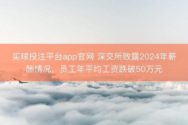 买球投注平台app官网 深交所败露2024年薪酬情况,员工年平均工资跌破50万元