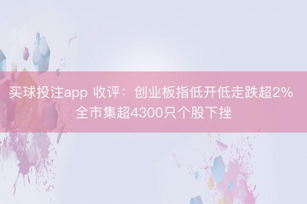 买球投注app 收评:创业板指低开低走跌超2% 全市集超4300只个股下挫