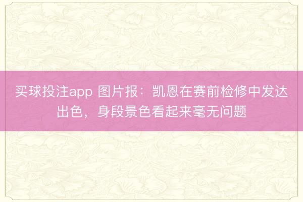 买球投注app 图片报：凯恩在赛前检修中发达出色，身段景色看起来毫无问题