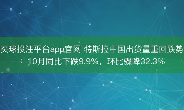 买球投注平台app官网 特斯拉中国出货量重回跌势:10月同比下跌9.9%,环比骤降32.3%