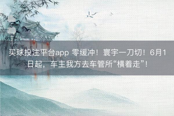 买球投注平台app 零缓冲!寰宇一刀切!6月1日起,车主我方去车管所“横着走”!