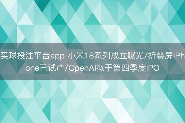 买球投注平台app 小米18系列成立曝光/折叠屏iPhone已试产/OpenAI拟于第四季度IPO
