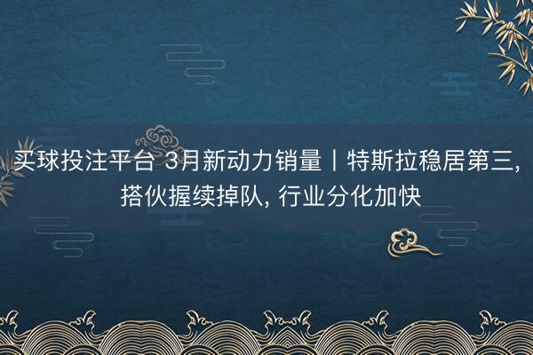 买球投注平台 3月新动力销量丨特斯拉稳居第三， 搭伙握续掉队， 行业分化加快