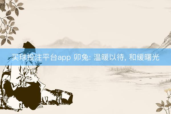 买球投注平台app 卯兔: 温暖以待， 和缓曙光