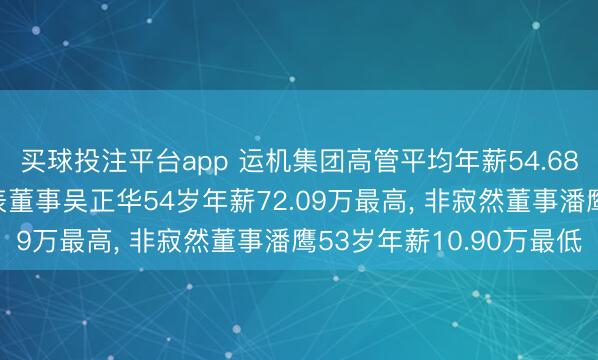 买球投注平台app 运机集团高管平均年薪54.68万: 总司理及员工代表董事吴正华54岁年薪72.09万最高, 非寂然董事潘鹰53岁年薪10.90万最低