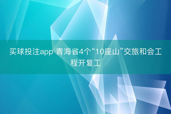 买球投注app 青海省4个“10座山”交旅和会工程开复工