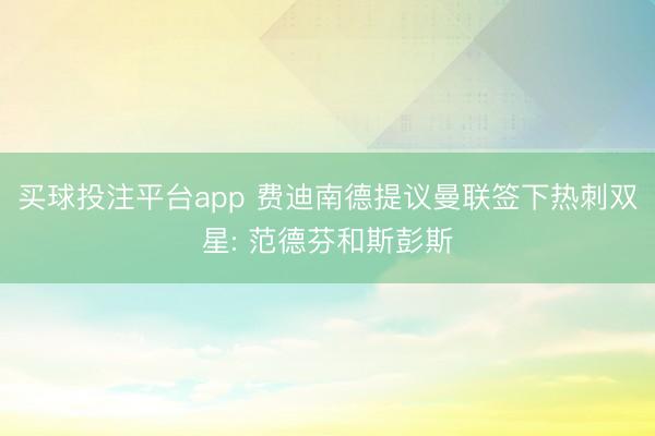 买球投注平台app 费迪南德提议曼联签下热刺双星: 范德芬和斯彭斯