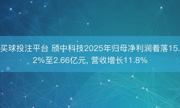 买球投注平台 颀中科技2025年归母净利润着落15.2%至2.66亿元， 营收增长11.8%
