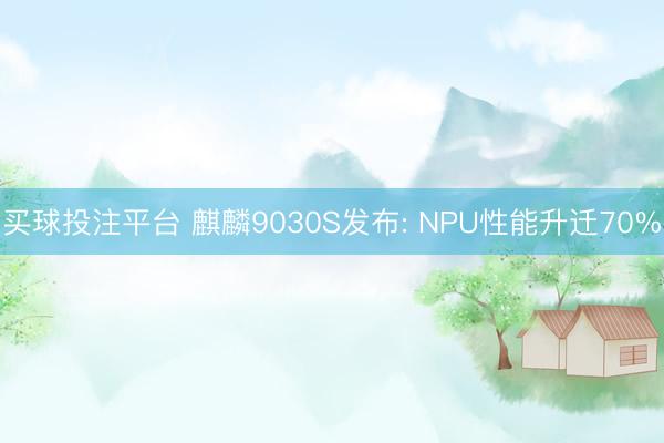 买球投注平台 麒麟9030S发布: NPU性能升迁70%