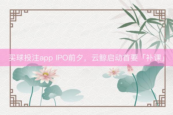 买球投注app IPO前夕，云鲸启动首要「补课」