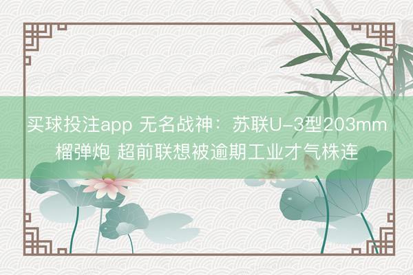 买球投注app 无名战神：苏联U-3型203mm榴弹炮 超前联想被逾期工业才气株连