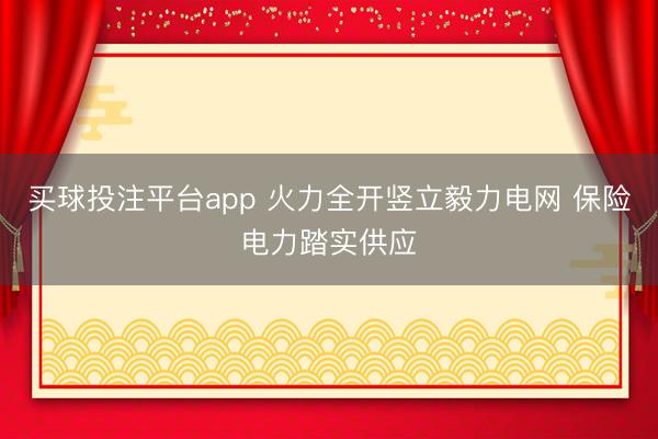 买球投注平台app 火力全开竖立毅力电网 保险电力踏实供应