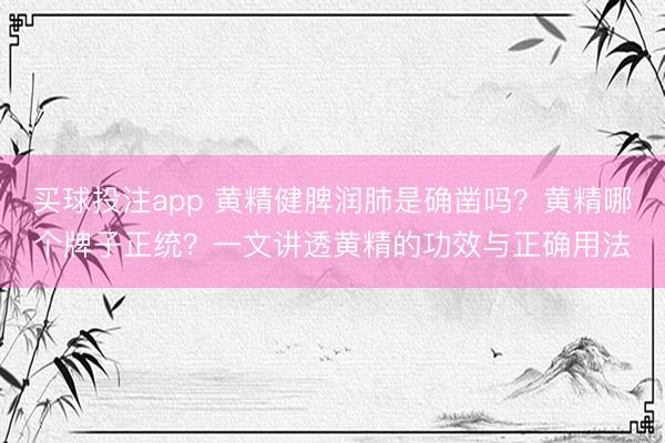 买球投注app 黄精健脾润肺是确凿吗？黄精哪个牌子正统？一文讲透黄精的功效与正确用法