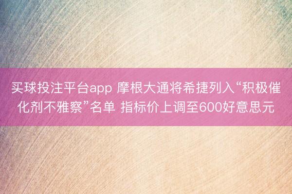 买球投注平台app 摩根大通将希捷列入“积极催化剂不雅察”名单 指标价上调至600好意思元
