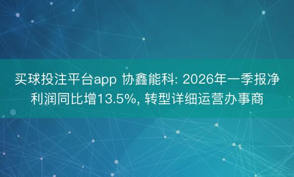 买球投注平台app 协鑫能科: 2026年一季报净利润同比增13.5%， 转型详细运营办事商