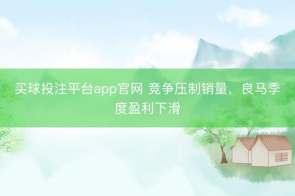 买球投注平台app官网 竞争压制销量，良马季度盈利下滑