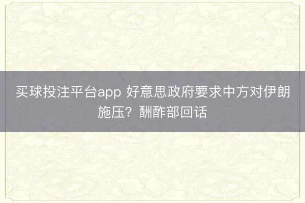 买球投注平台app 好意思政府要求中方对伊朗施压？酬酢部回话