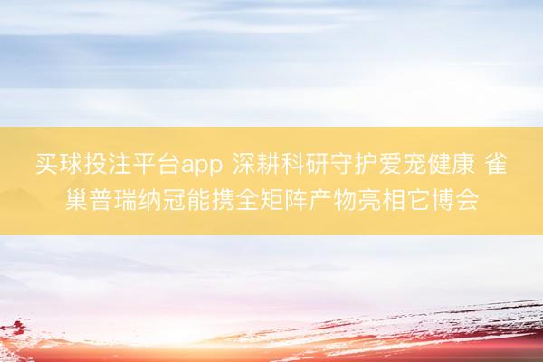 买球投注平台app 深耕科研守护爱宠健康 雀巢普瑞纳冠能携全矩阵产物亮相它博会