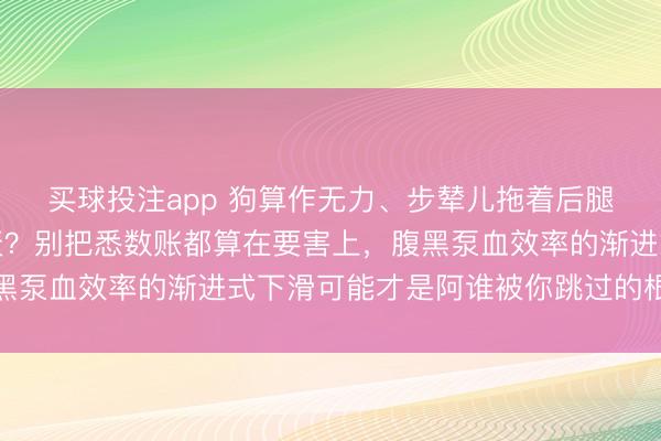 买球投注app 狗算作无力、步辇儿拖着后腿、精神头一天不如一天？别把悉数账都算在要害上，腹黑泵血效率的渐进式下滑可能才是阿谁被你跳过的根底变量
