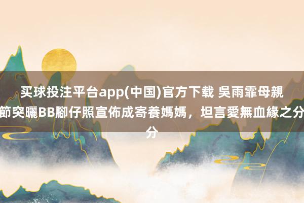 买球投注平台app(中国)官方下载 吳雨霏母親節突曬BB腳仔照宣佈成寄養媽媽，坦言愛無血緣之分