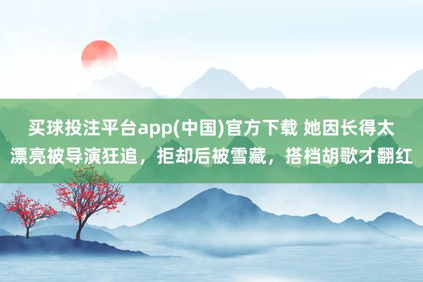 买球投注平台app(中国)官方下载 她因长得太漂亮被导演狂追,拒却后被雪藏,搭档胡歌才翻红