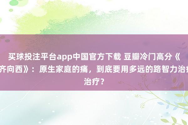买球投注平台app中国官方下载 豆瓣冷门高分《一齐向西》：原生家庭的痛，到底要用多远的路智力治疗？