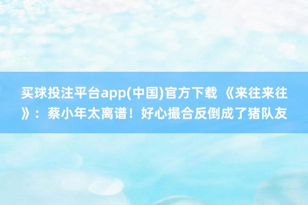 买球投注平台app(中国)官方下载 《来往来往》：蔡小年太离谱！好心撮合反倒成了猪队友