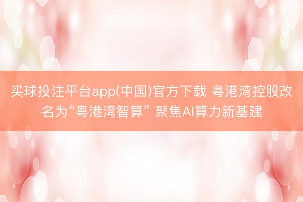 买球投注平台app(中国)官方下载 粤港湾控股改名为“粤港湾智算” 聚焦AI算力新基建