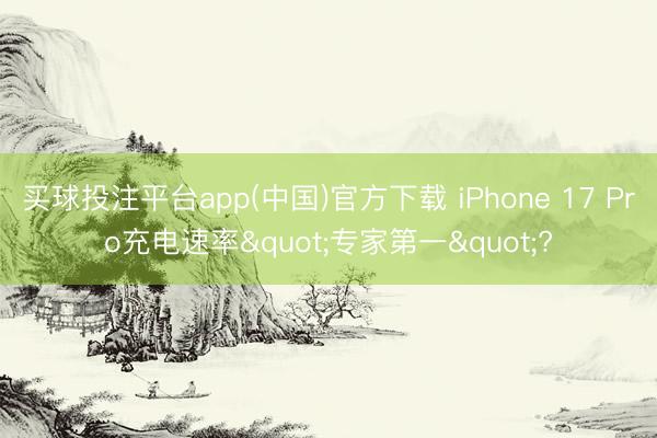 买球投注平台app(中国)官方下载 iPhone 17 Pro充电速率"专家第一"?