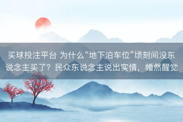 买球投注平台 为什么“地下泊车位”顷刻间没东说念主买了？民众东说念主说出实情，幡然醒觉