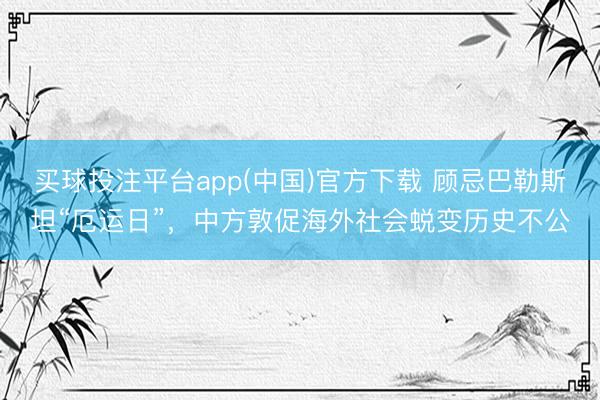 买球投注平台app(中国)官方下载 顾忌巴勒斯坦“厄运日”，中方敦促海外社会蜕变历史不公