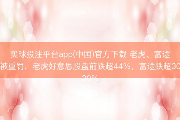买球投注平台app(中国)官方下载 老虎、富途将被重罚，老虎好意思股盘前跌超44%，富途跌超30%