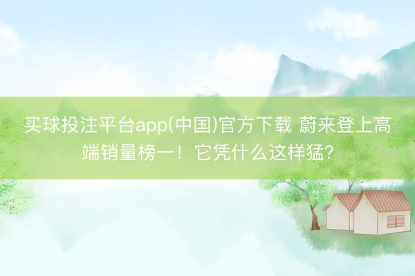 买球投注平台app(中国)官方下载 蔚来登上高端销量榜一!它凭什么这样猛?
