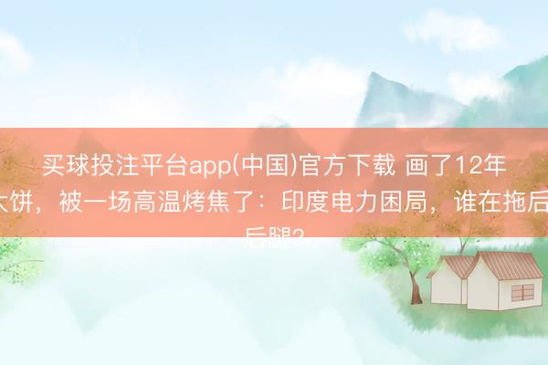 买球投注平台app(中国)官方下载 画了12年的大饼，被一场高温烤焦了：印度电力困局，谁在拖后腿？